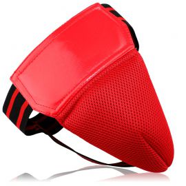 Groin / Abdominal Guard