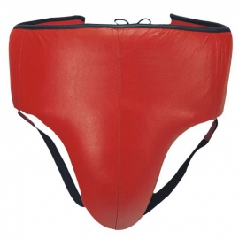 Groin / Abdominal Guard