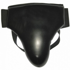 Groin / Abdominal Guard