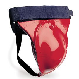 Groin / Abdominal Guard